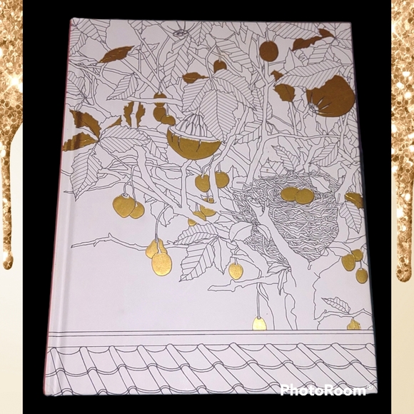 Daria Song blank coloring book journal - Picture 1 of 5